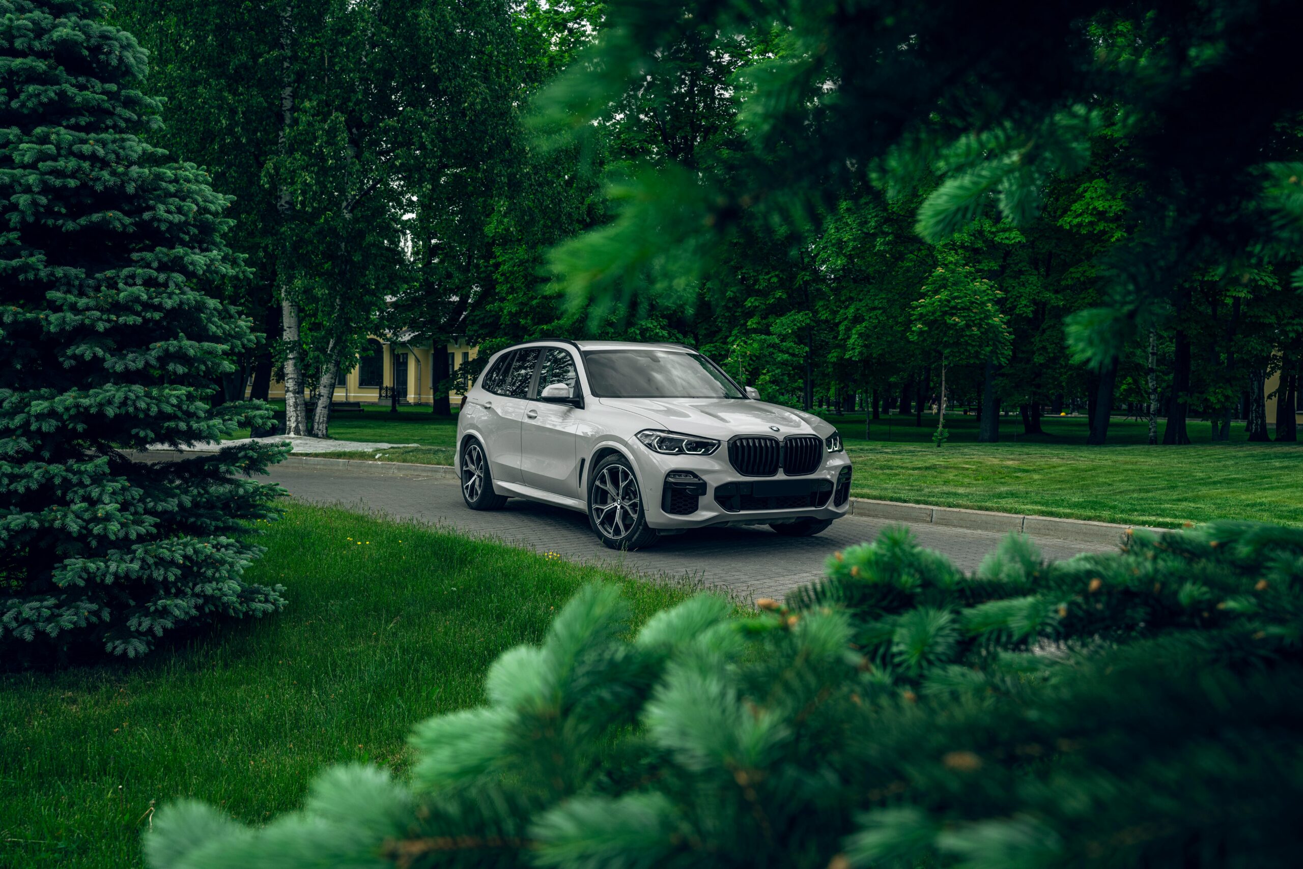 A sleek white SUV parked amidst lush green foliage, capturing a serene park environment.