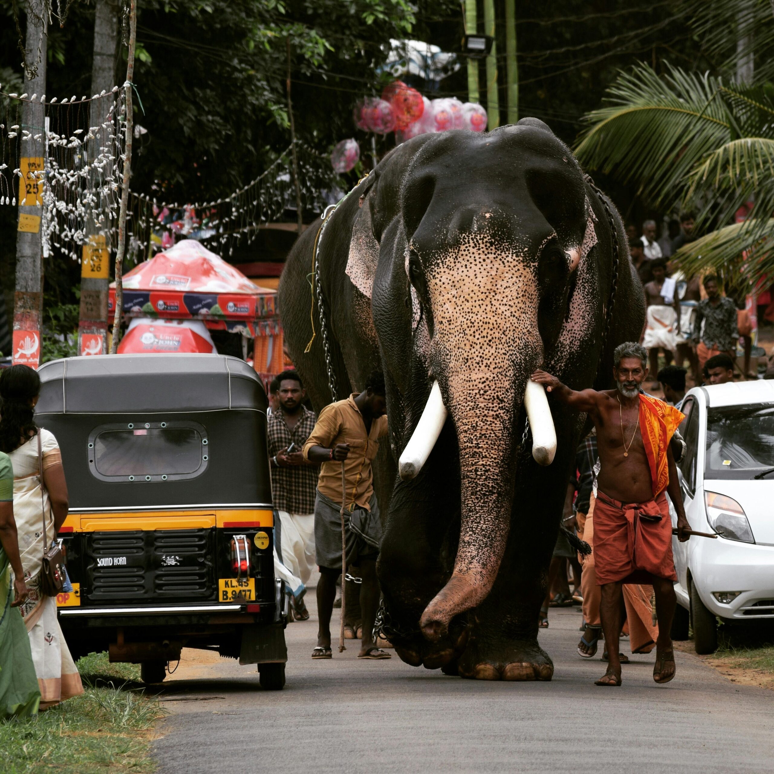 A large elephant led through a festive Indian street, showcasing cultural tradition.